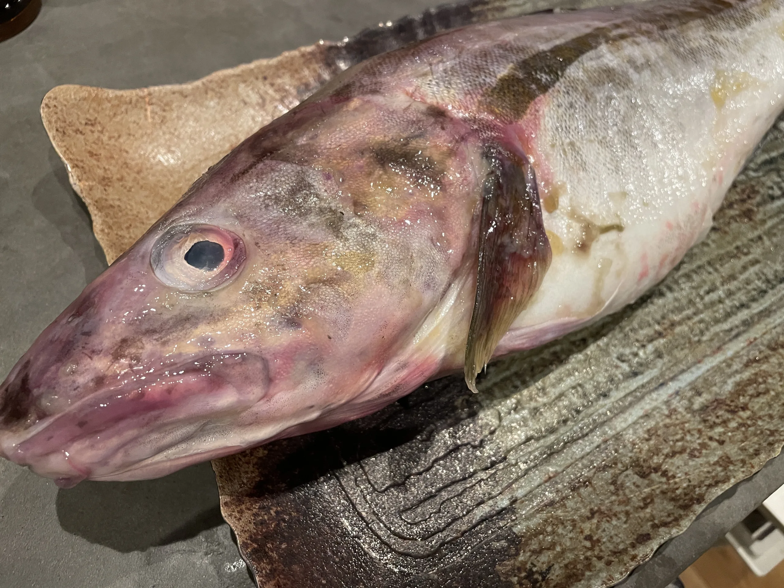 冬が旬の魚とおすすめレシピをまとめてチェック